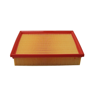 Air Filter (WG2152065)