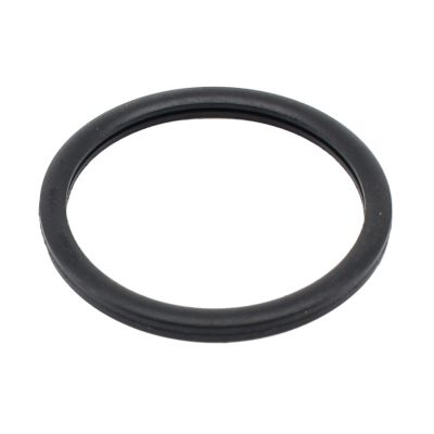 Seal, thermostat (WG2193964)