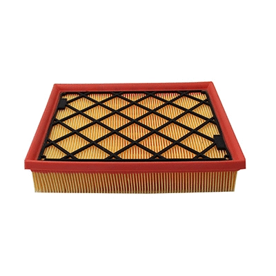 Air Filter (WG2152169)