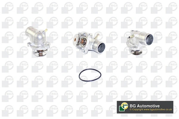 Thermostat, coolant (WG1760443)