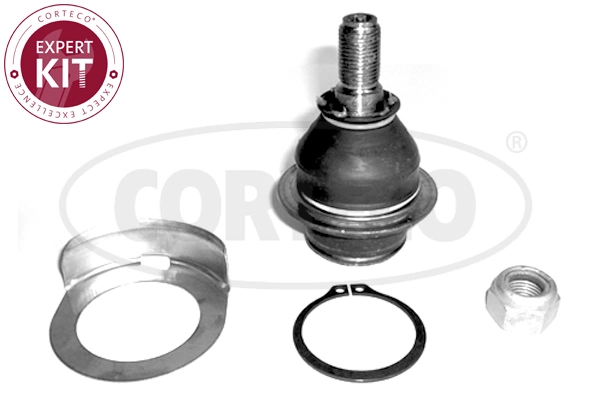 Ball Joint (WG2289905)