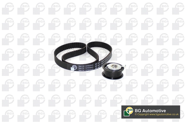 Timing Belt Kit (WG1487909)