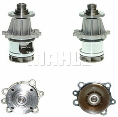 Water Pump, engine cooling (WG2181345)