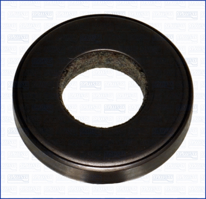 Shaft Seal, crankshaft (WG1162991)