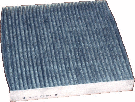 Filter, cabin air (WG1747142)