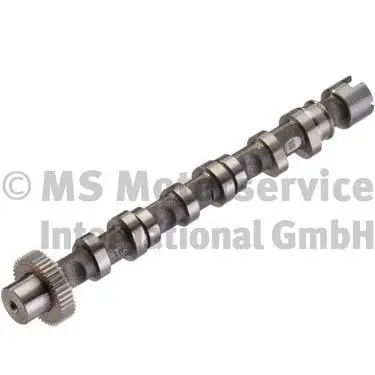 Camshaft (WG1150178)