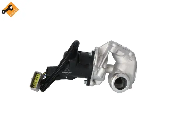 EGR Valve (WG2161869)