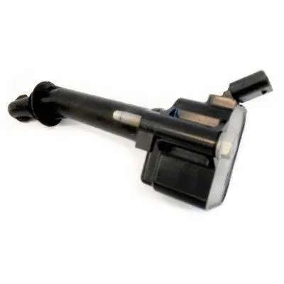 Ignition Coil (WG1408894)