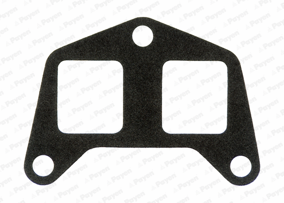 Gasket, intake manifold (WG1182060)