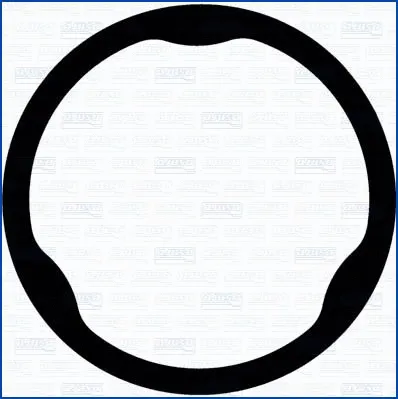 Gasket, exhaust pipe (WG2079102)