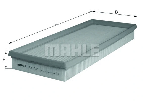 Air Filter (WG1216573)