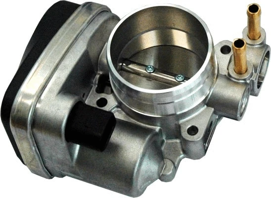 Throttle Body (WG1408794)