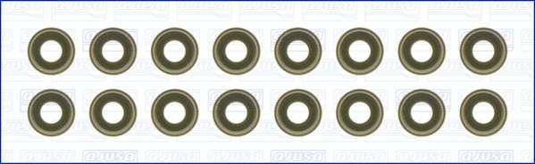 Seal Set, valve stem (WG1455750)