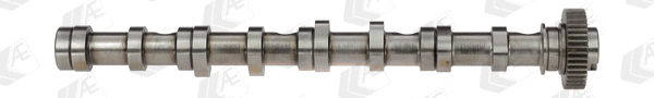 Camshaft (WG1462592)