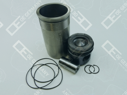 Repair Set, piston/sleeve (WG1485173)