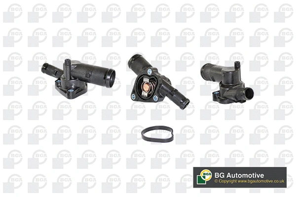 Thermostat, coolant (WG1760529)