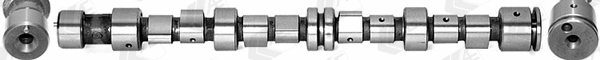 Camshaft (WG1171836)