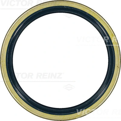 Shaft Seal, camshaft (WG1250145)