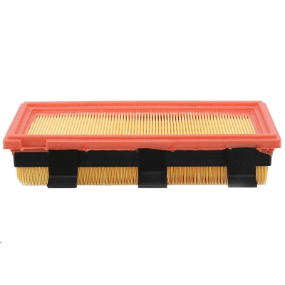 Air Filter (WG2174852)