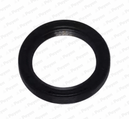 Shaft Seal, crankshaft (WG1183272)