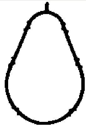 Gasket, intake manifold (WG1765369)