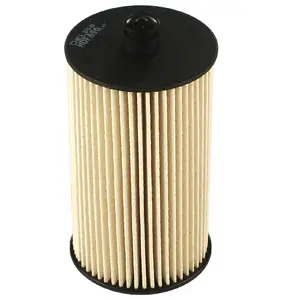 Fuel Filter (WG1499172)