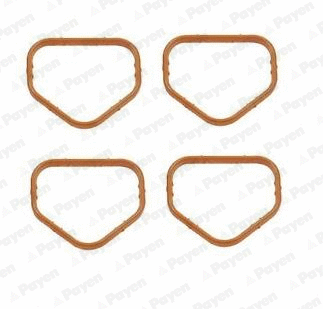 Gasket, intake manifold (WG2171436)