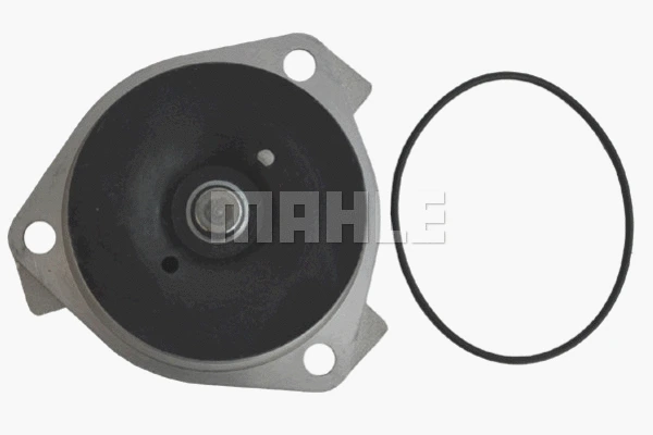 Water Pump, engine cooling (WG2181343)