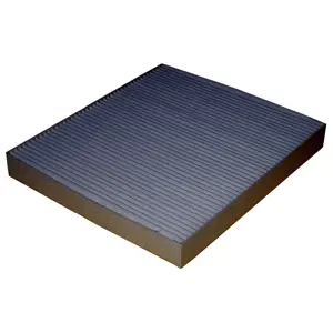 Filter, cabin air (WG1774683)