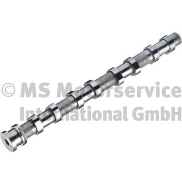 Camshaft (WG1924813)