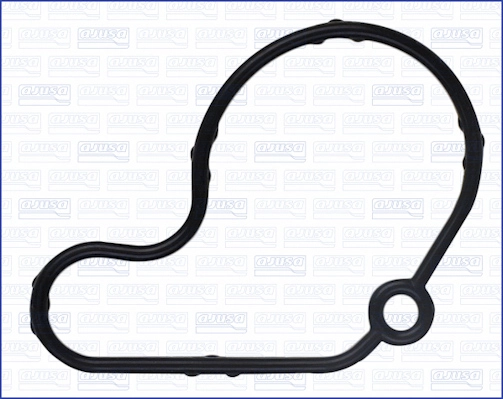 Gasket, vacuum pump (WG2078426)