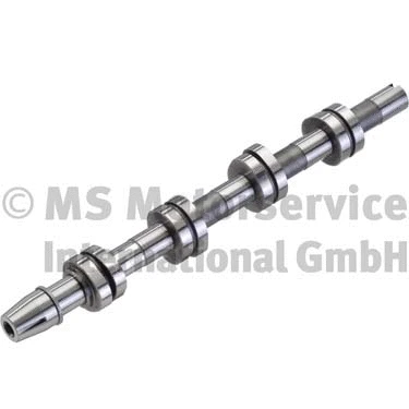 Camshaft (WG1017832)