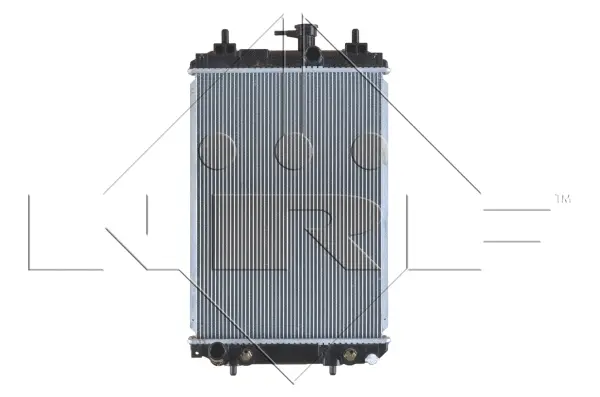 Radiator, engine cooling (WG1723445)