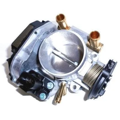 Throttle Body (WG1013607)