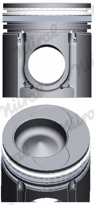 Piston (WG1175918)