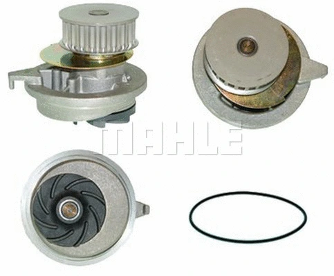Water Pump, engine cooling (WG2182052)
