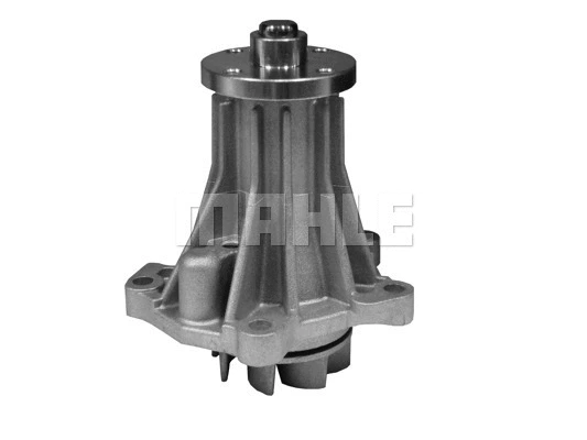 Water Pump, engine cooling (WG2181570)