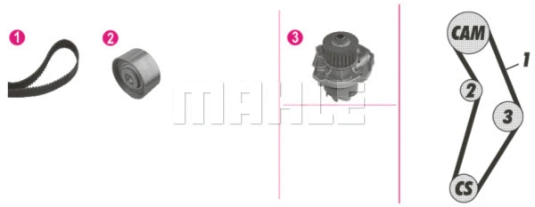 Water Pump & Timing Belt Kit (WG2182118)