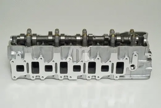 Cylinder Head (WG1011350)