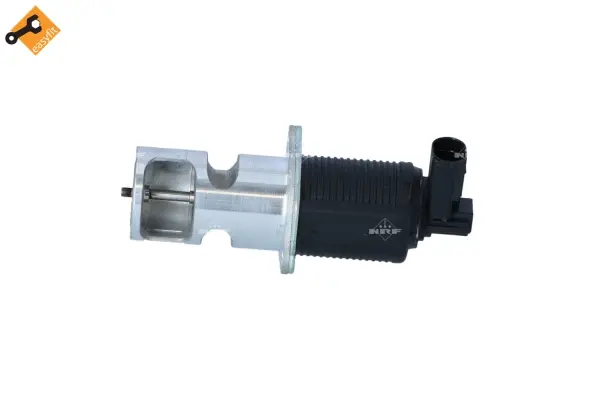 EGR Valve (WG2161821)