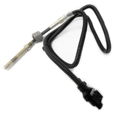 Sensor, exhaust gas temperature (WG1748727)