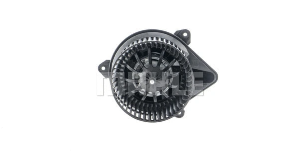 Interior Blower