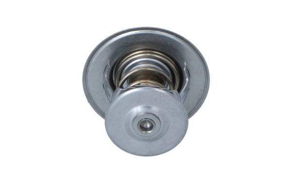 Thermostat, coolant (WG2204599)