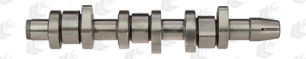 Camshaft (WG1093065)