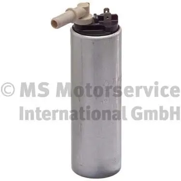 Fuel Pump (WG1027108)