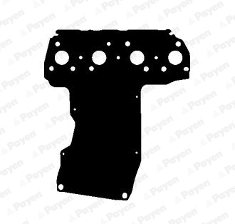 Gasket, exhaust manifold (WG2202395)