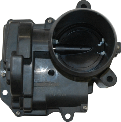 Throttle Body (WG1013551)