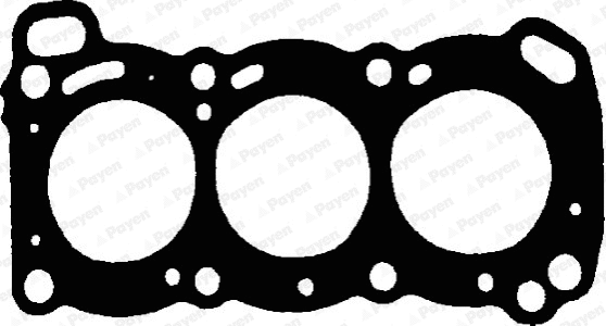 Gasket, cylinder head (WG1176691)