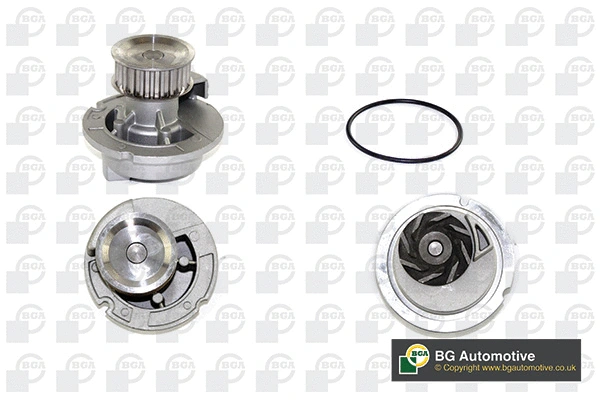 Water Pump, engine cooling (WG1489108)