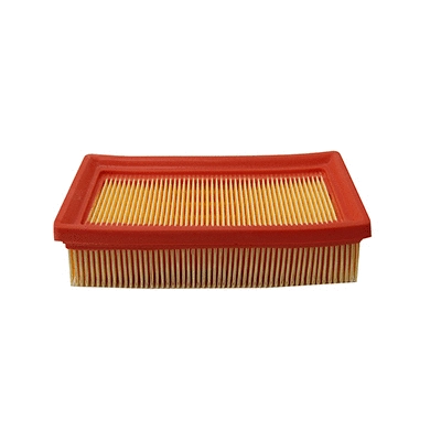 Air Filter (WG2152042)